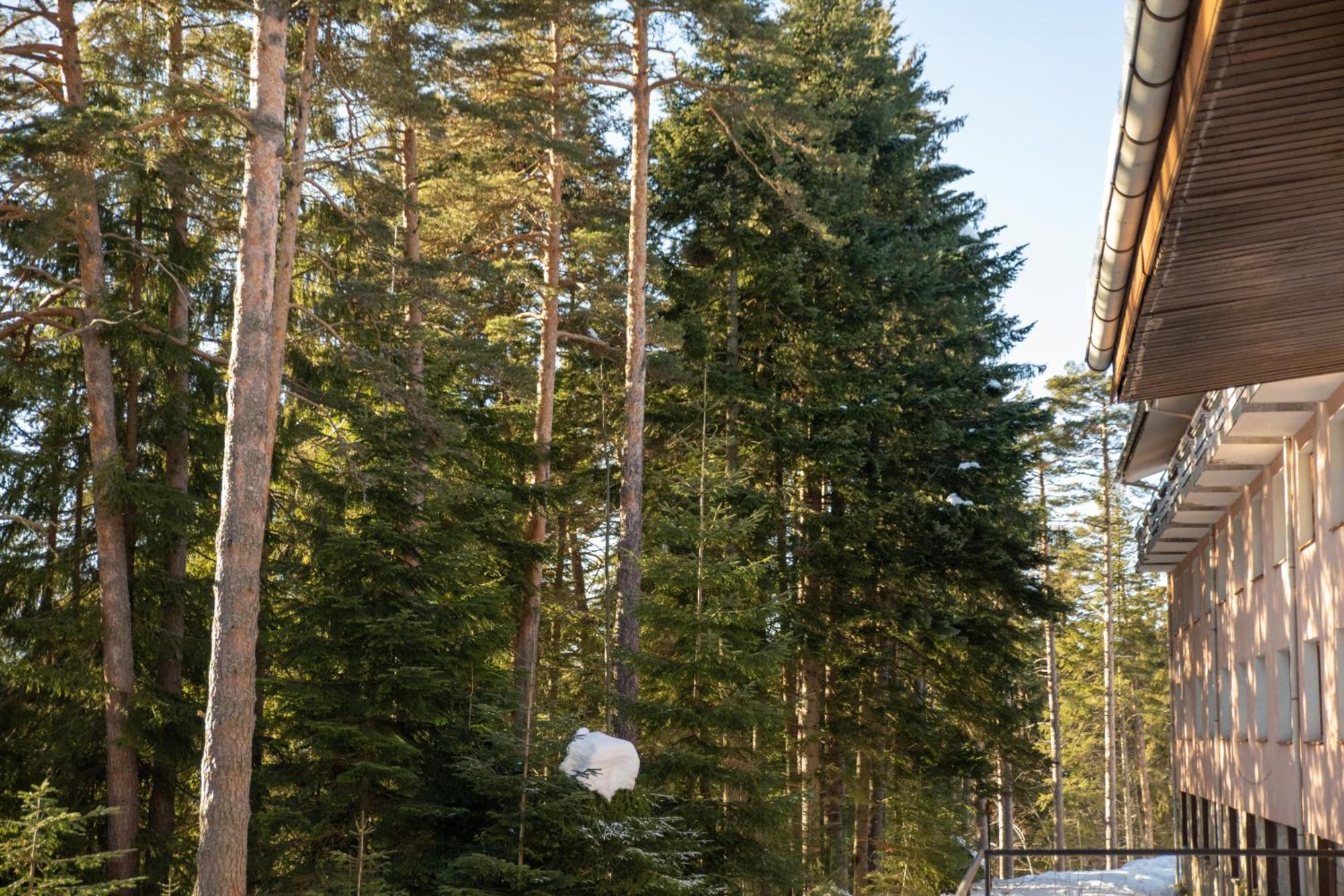 Hotel Borovets Edelweiss Εξωτερικό φωτογραφία
